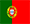 Português brasileiro